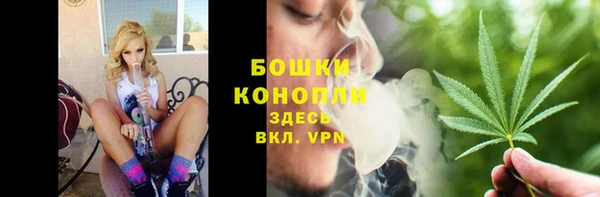 дживик Дегтярск