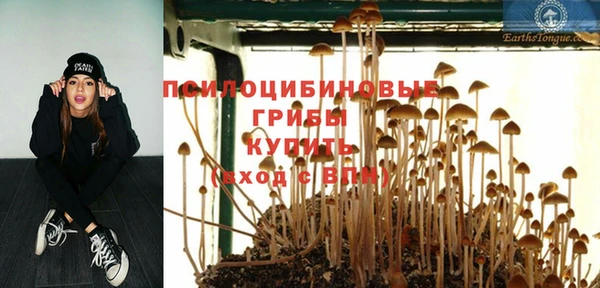 ГАЛЛЮЦИНОГЕННЫЕ ГРИБЫ Остров