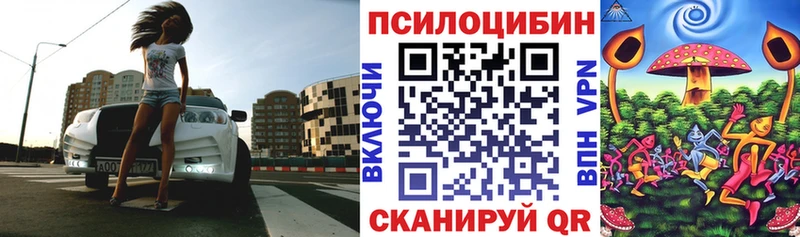 Галлюциногенные грибы ЛСД  Правдинск 
