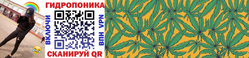 Бошки Шишки ГИДРОПОН  Правдинск 